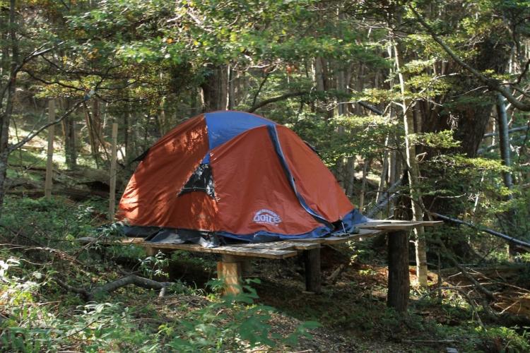 Ecocamping Tsonek en Ohiggins, Aysen