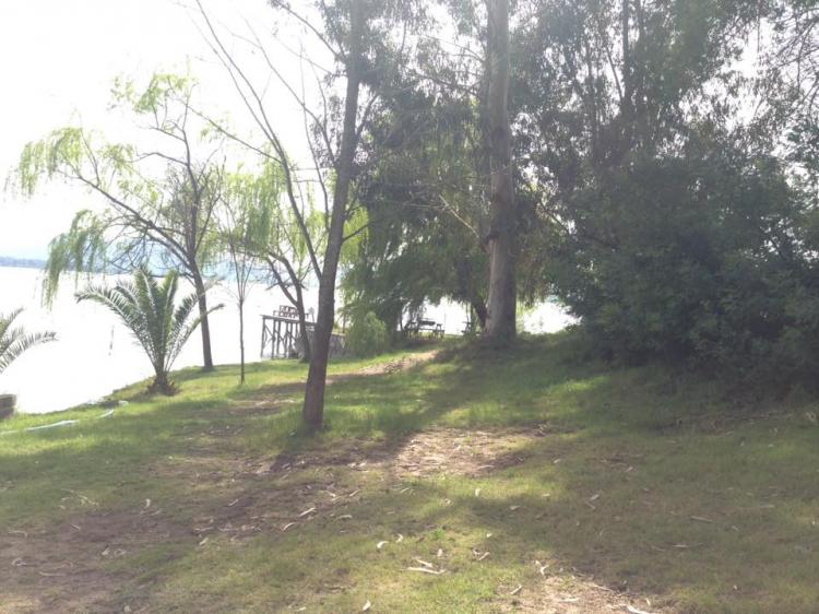Fotografía 4 de Camping Los Reyes en Las Cabras, Ohiggins