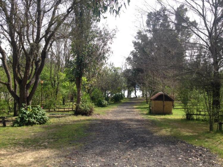 Fotografía 5 de Camping Los Reyes en Las Cabras, Ohiggins