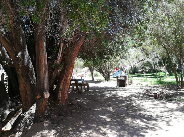 Fotografía 4 de Camping Los Pipiolos en Paihuano, Coquimbo