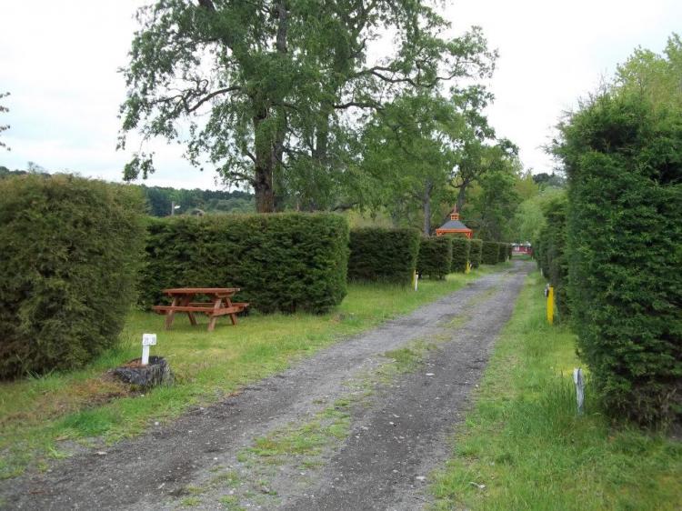 Fotografía 3 de Camping Municipal Playa Maqui en Frutillar, Los Lagos