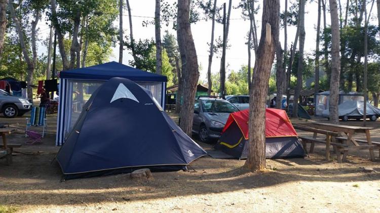 Fotografía 5 de Camping Los Manantiales de Panquehue en Panquehue, Valparaiso