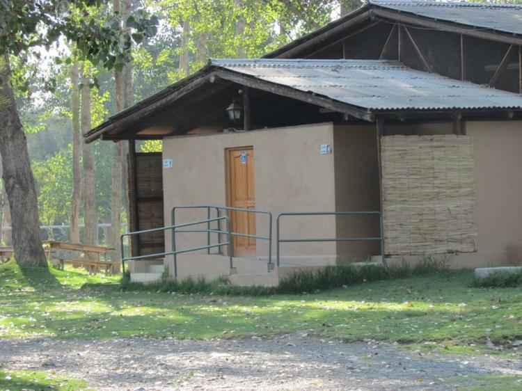 Fotografía 7 de Camping Los Manantiales de Panquehue en Panquehue, Valparaiso