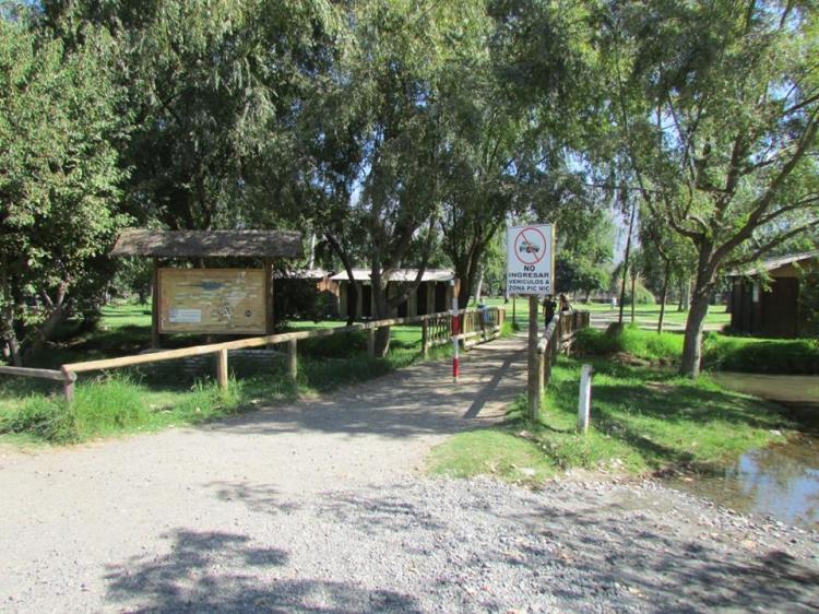Fotografía 11 de Camping Los Manantiales de Panquehue en Panquehue, Valparaiso