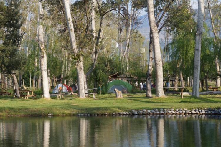 Fotografía 12 de Camping Los Manantiales de Panquehue en Panquehue, Valparaiso