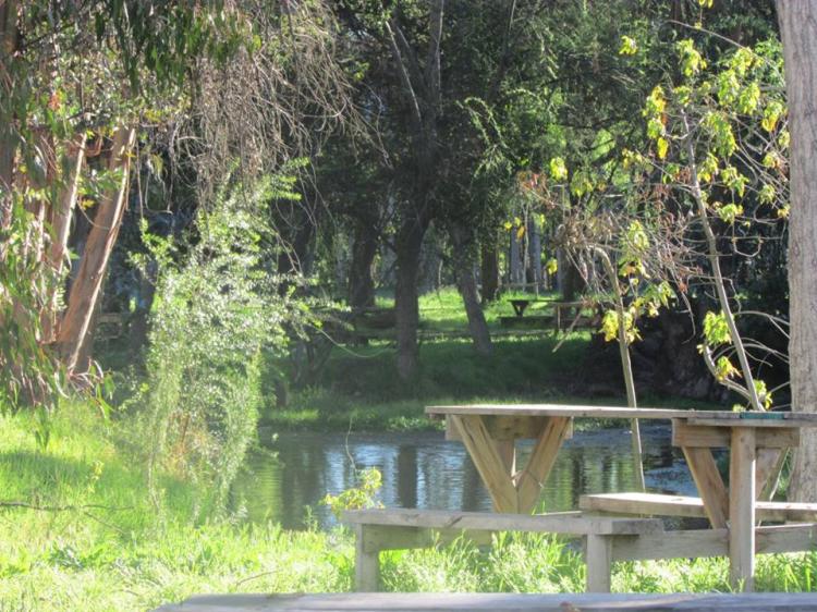 Fotografía 13 de Camping Los Manantiales de Panquehue en Panquehue, Valparaiso
