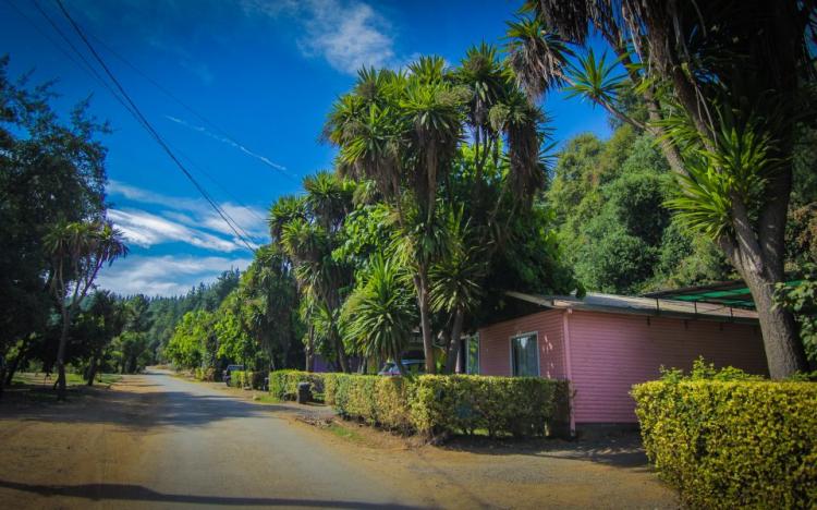 Fotografía 8 de Camping Residencial Paseo Los Aromos en San Clemente, Maule