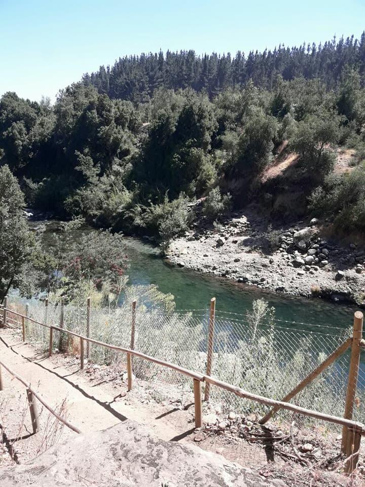 Fotografía 7 de Camping Mora Siete tazas en Molina, Maule