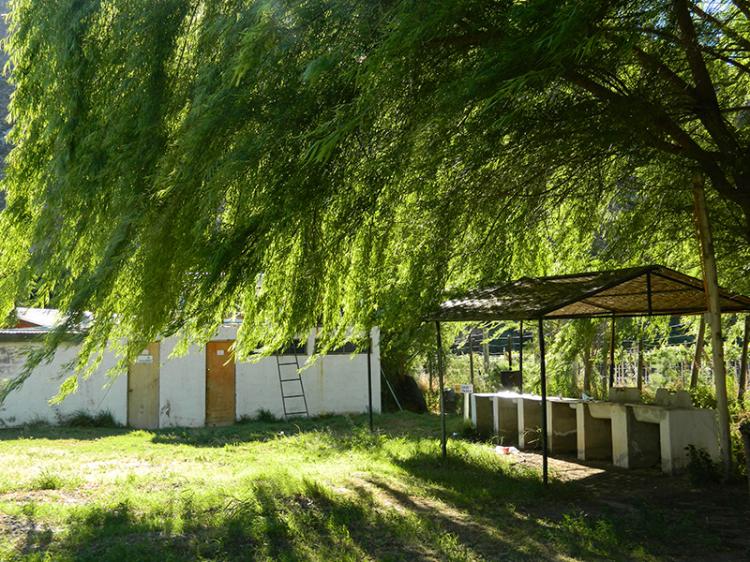 Fotografía 12 de Camping Valle del Sol en Monte Patria, Coquimbo