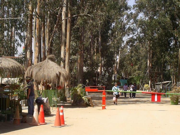 Fotografía 3 de Camping Parque la Victoria en Limache, Valparaiso