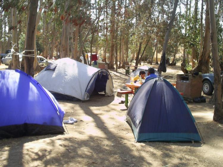 Fotografía 4 de Camping Parque la Victoria en Limache, Valparaiso