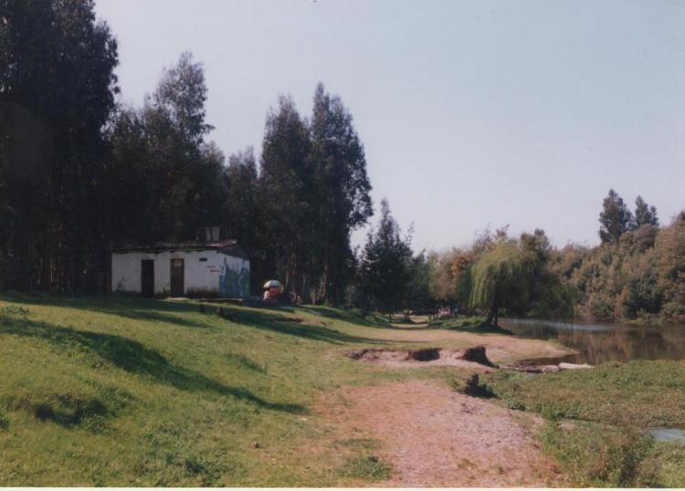 Fotografía 5 de Camping Parque la Victoria en Limache, Valparaiso