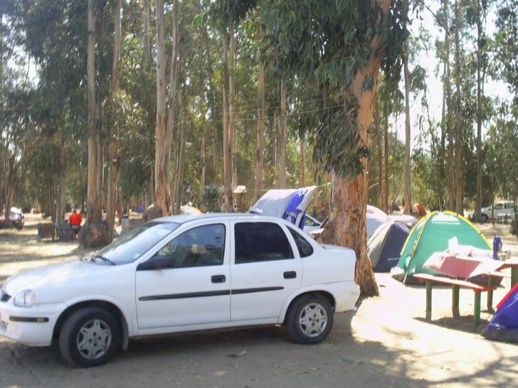 Fotografía 6 de Camping Parque la Victoria en Limache, Valparaiso