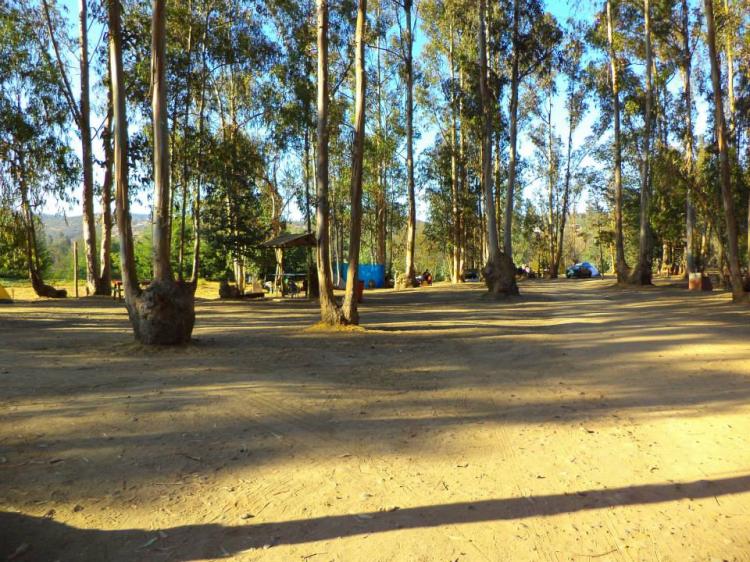 Fotografía 8 de Camping Parque la Victoria en Limache, Valparaiso