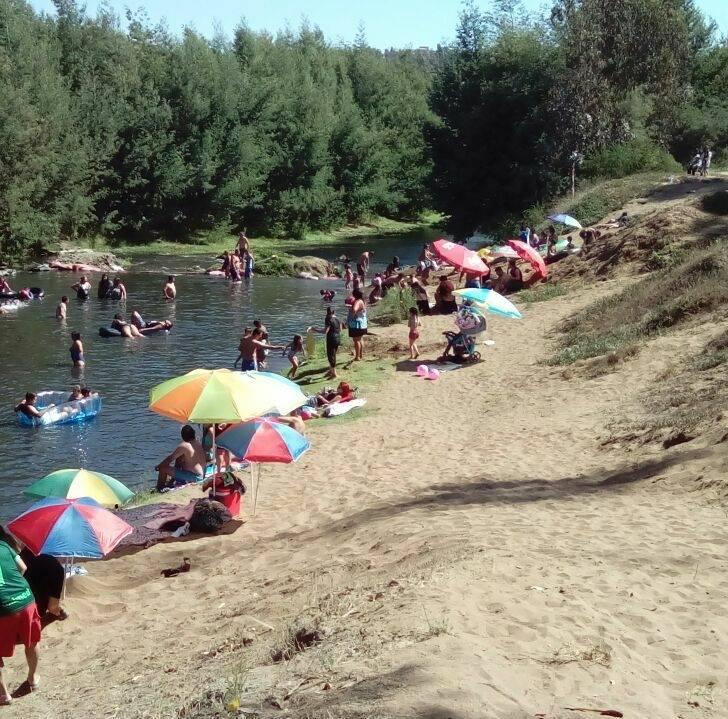 Fotografía 10 de Camping Parque la Victoria en Limache, Valparaiso