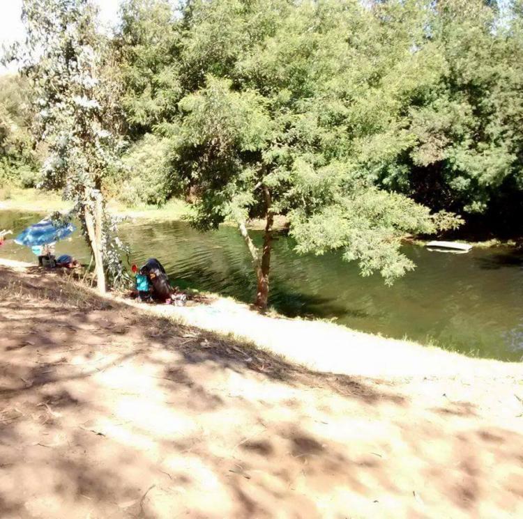 Fotografía 9 de Camping Parque la Victoria en Limache, Valparaiso