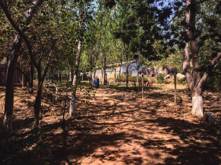 Fotografía 5 de Camping Paula en Vichuquen, Maule