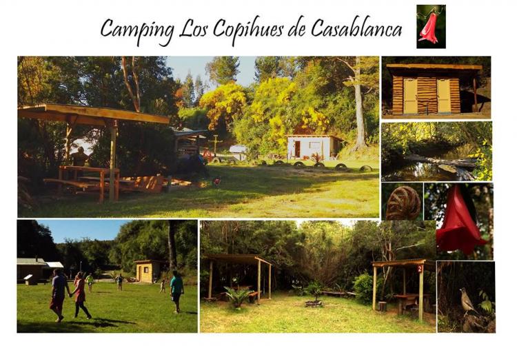 Fotografía 2 de Camping Los Copihues de Casablanca en Paillaco, Los Rios