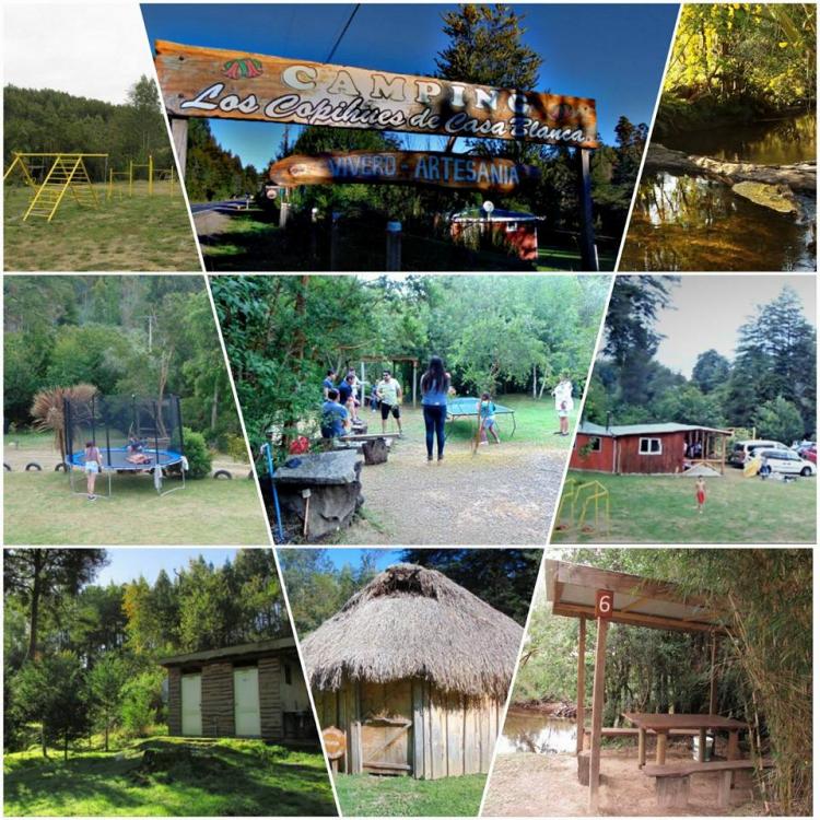Fotografía 5 de Camping Los Copihues de Casablanca en Paillaco, Los Rios