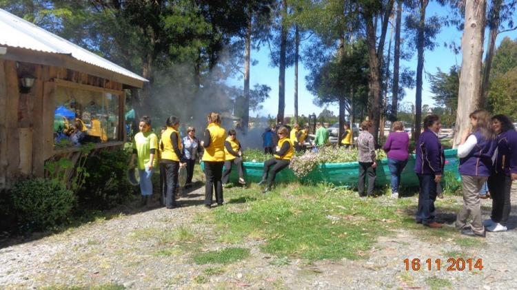 Fotografía 3 de Camping Turismo Alumko en Ancud, Los Lagos