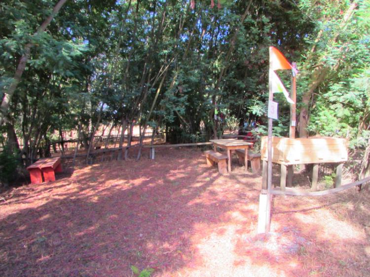 Fotografía 2 de Camping El Molino en Pelluhue, Maule