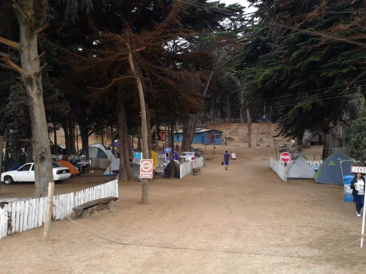 Fotografía 3 de Camping El Bosque en El Tabo, Valparaiso
