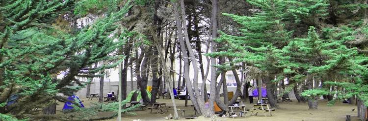 Fotografía 5 de Camping El Bosque en El Tabo, Valparaiso