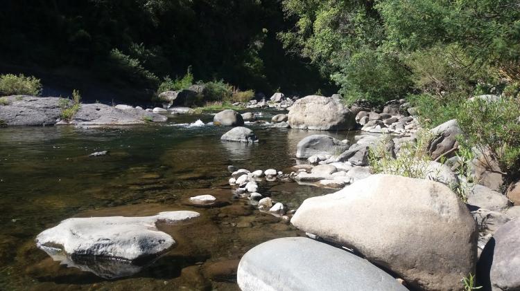 Fotografía 4 de Camping Las Lajas en San Clemente, Maule