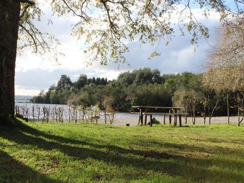 Camping Los Copihues en Puyehue, Los Lagos