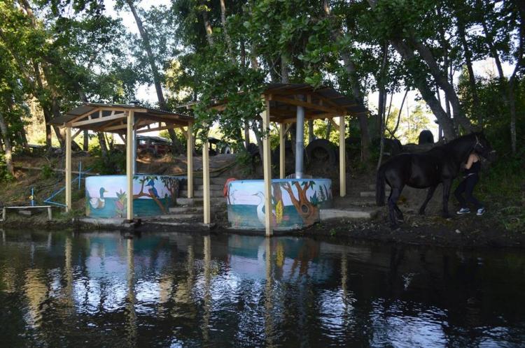 Fotografía 8 de Coyunche Cabañas y Camping en Laja, Bio Bio
