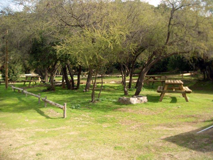 Camping Ecoturismo Cerro Viejo en Quilpue, Valparaiso