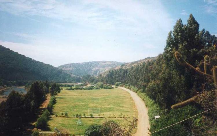 Fotografía 4 de Camping Laguna de Zapallar en Zapallar, Valparaiso
