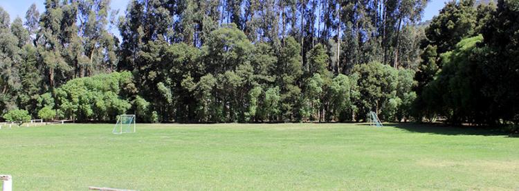 Fotografía 2 de Parque cachagua en Zapallar, Valparaiso