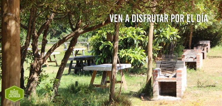 Fotografía 4 de Parque cachagua en Zapallar, Valparaiso