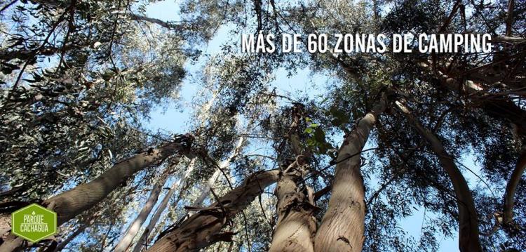 Fotografía 5 de Parque cachagua en Zapallar, Valparaiso