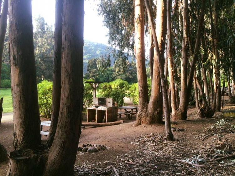 Fotografía 6 de Parque cachagua en Zapallar, Valparaiso