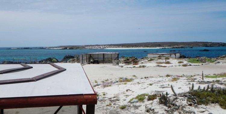 Fotografía 8 de Camping La Torre en La Higuera, Coquimbo