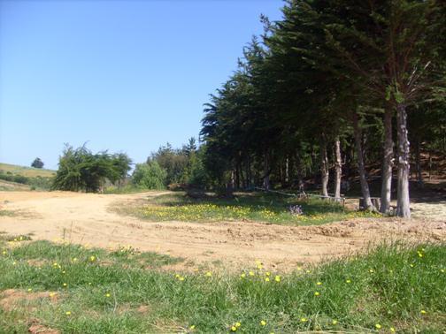 Fotografía 2 de Camping Laguna del Perro en Pichilemu, Ohiggins