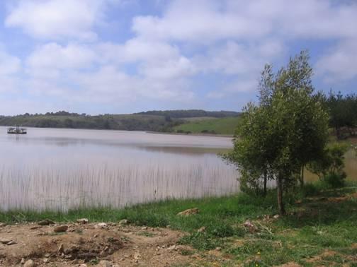 Fotografía 3 de Camping Laguna del Perro en Pichilemu, Ohiggins