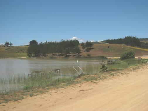 Fotografía 16 de Camping Laguna del Perro en Pichilemu, Ohiggins