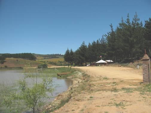 Fotografía 20 de Camping Laguna del Perro en Pichilemu, Ohiggins
