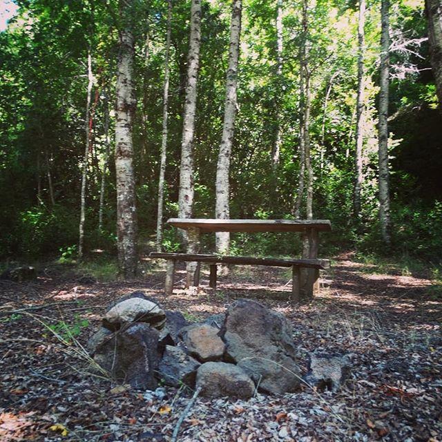 Camping Vergara Playa Blanca Caburgua en Pucon, Araucania
