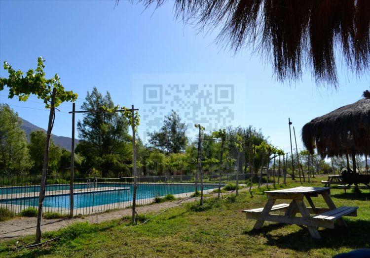 Fotografía 8 de Camping Las Pataguas en Vicuña, Coquimbo