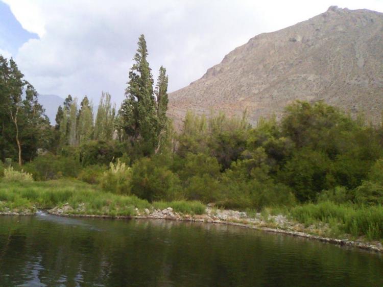 Fotografía 3 de Camping Descanso De Los Arrayanes en Rio Hurtado, Coquimbo