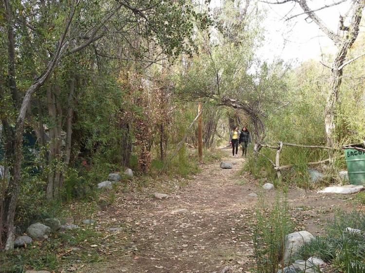 Fotografía 6 de Camping Descanso De Los Arrayanes en Rio Hurtado, Coquimbo