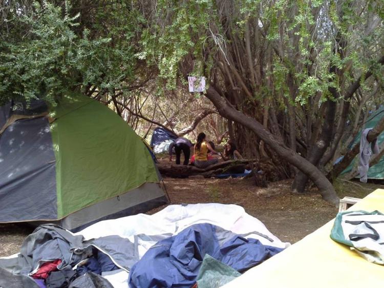 Fotografía 7 de Camping Descanso De Los Arrayanes en Rio Hurtado, Coquimbo