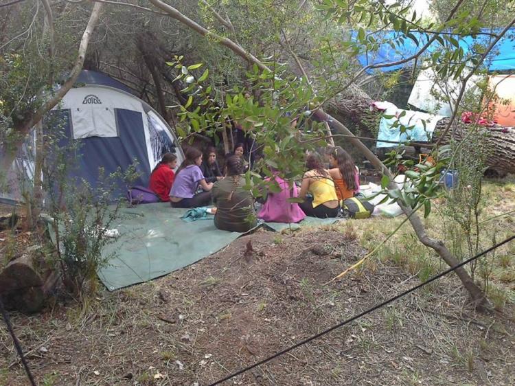 Fotografía 12 de Camping Descanso De Los Arrayanes en Rio Hurtado, Coquimbo