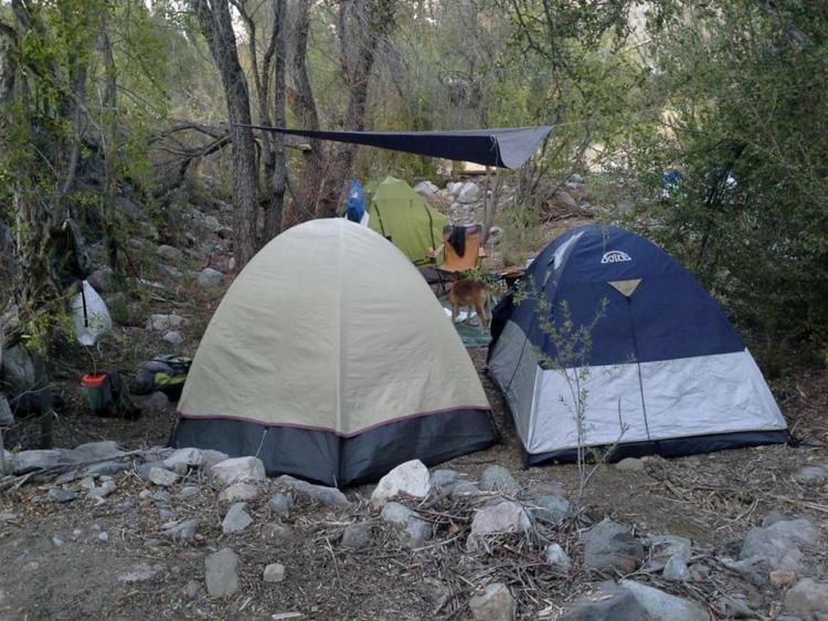Fotografía 15 de Camping Descanso De Los Arrayanes en Rio Hurtado, Coquimbo