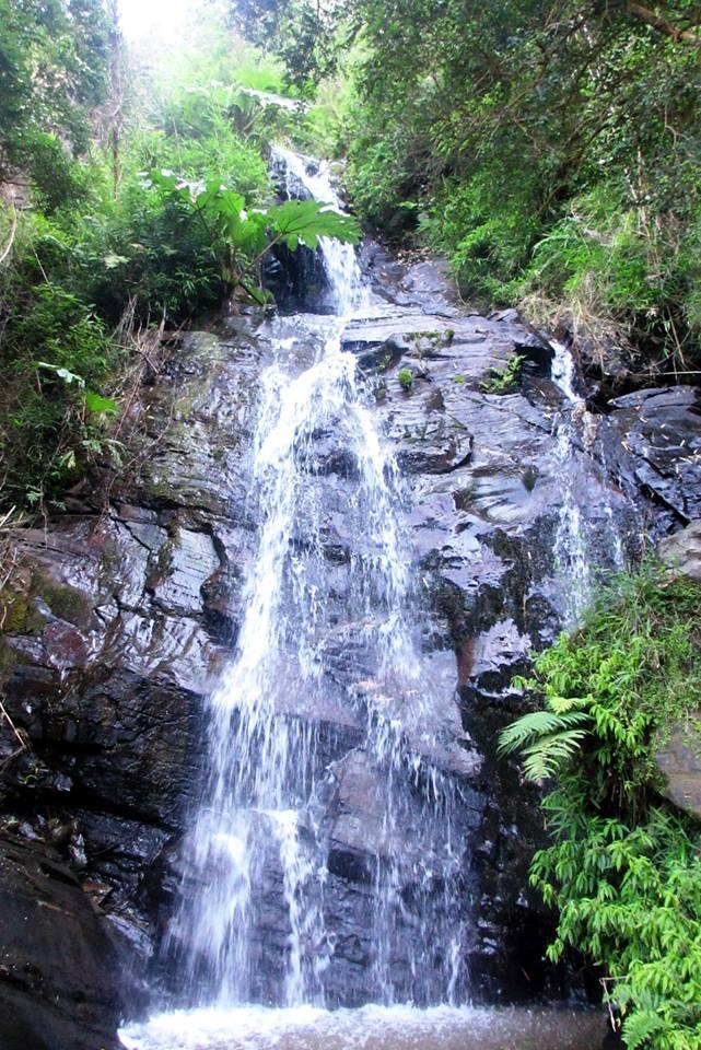 Fotografía 2 de Camping La Cascada en Tolten, Araucania