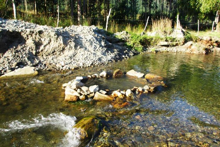 Fotografía 3 de Camping La Cascada en Tolten, Araucania